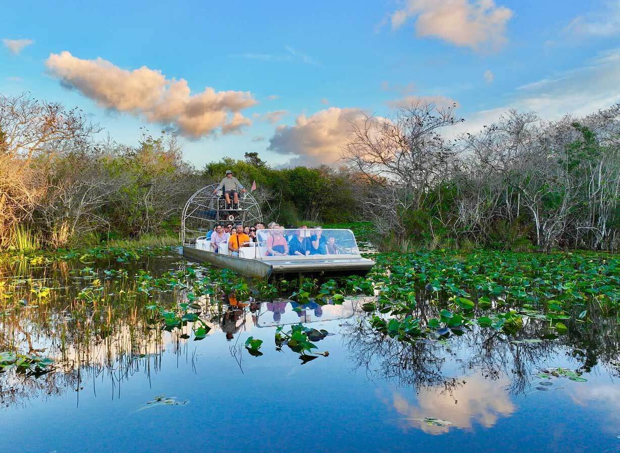 Gator Park Airboat Tours 