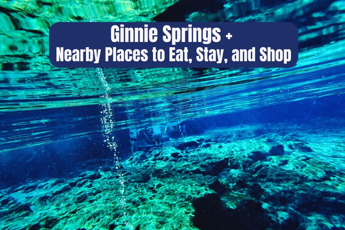 Ginnie Springs Nearby Places To Eat Stay And Shop 9304