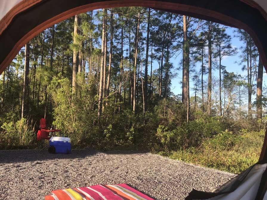Grayton Beach State Park Camping view from inside of a tent. 