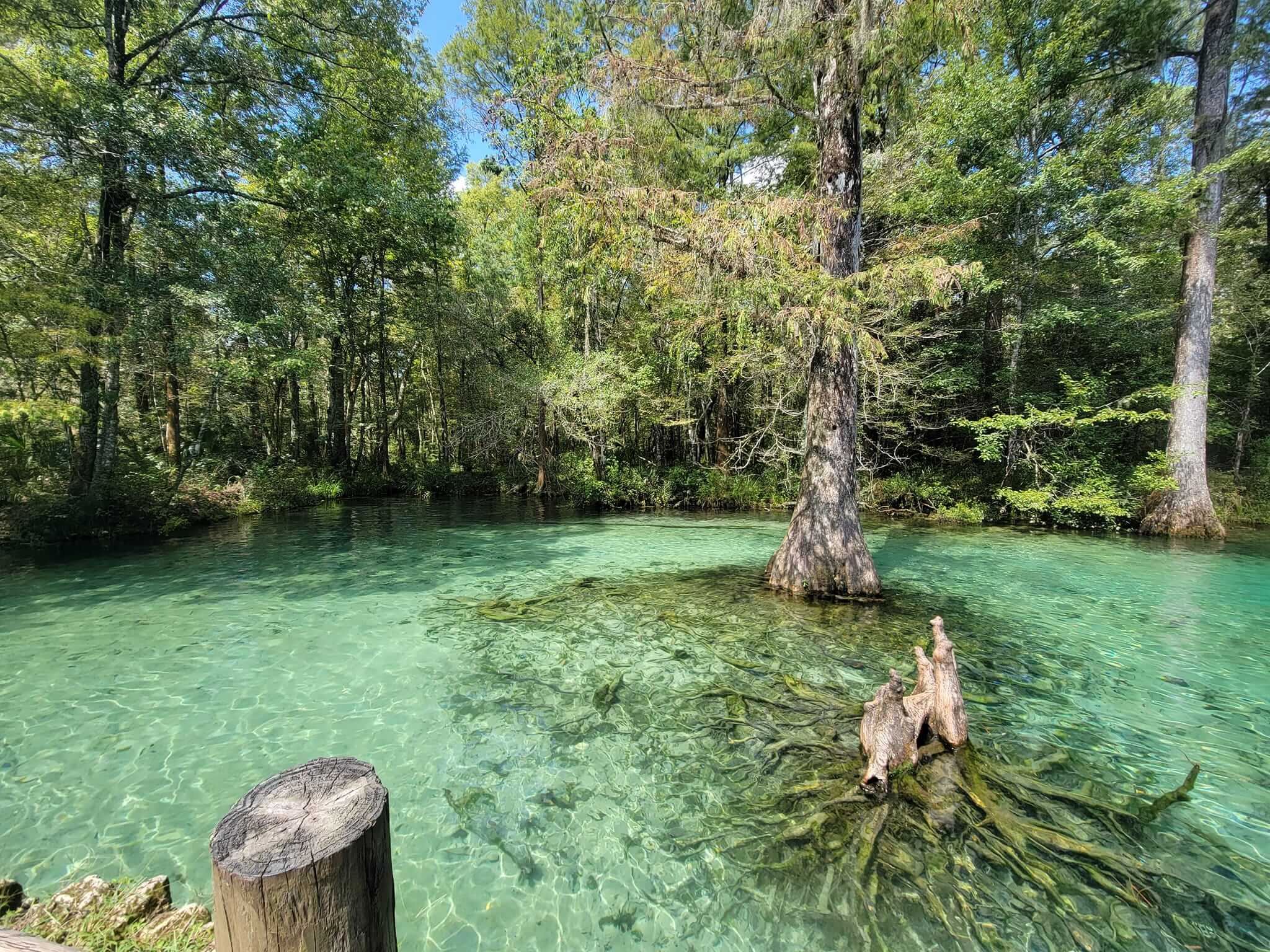 Florida state parks image.