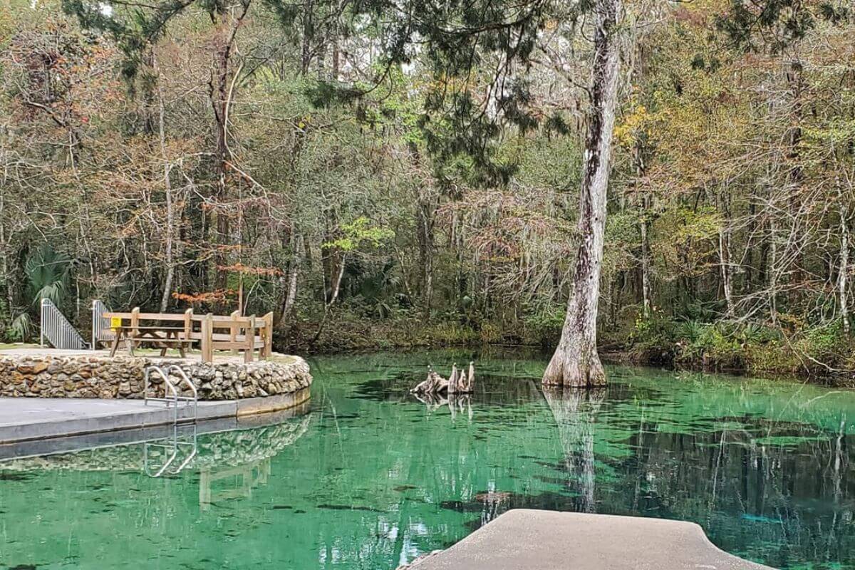 Ponce de Leon Springs State Park swimming area