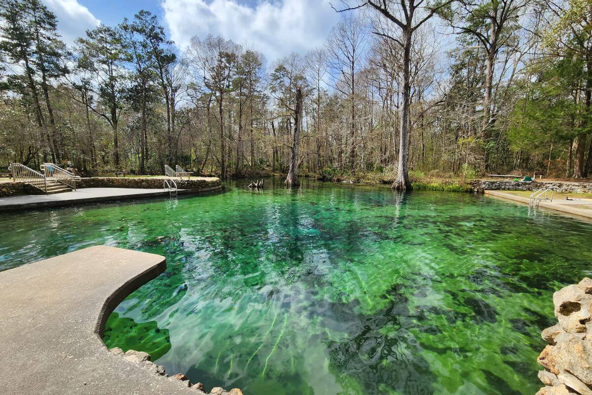 Ponce de Leon Springs State Park swimming area.