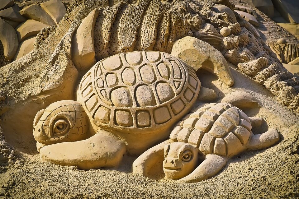 Sea Turtle Sand Art 