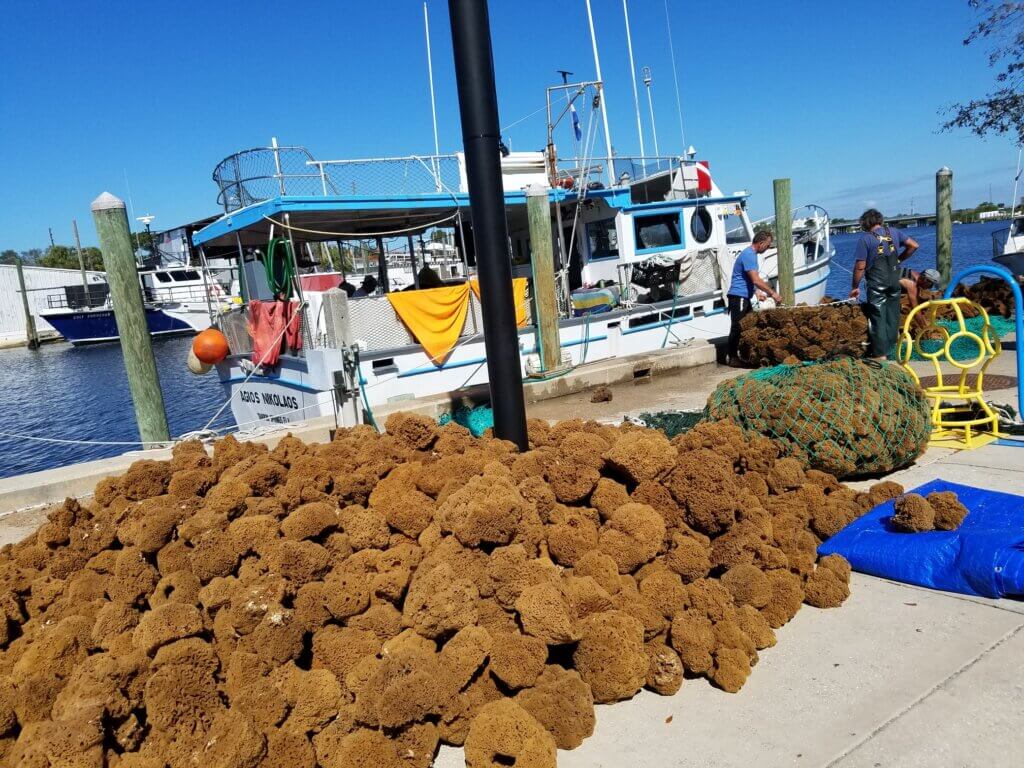 Things To Do Near The Tarpon Springs Sponge Docks in 2024