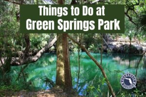 Things to do at Green Springs Park