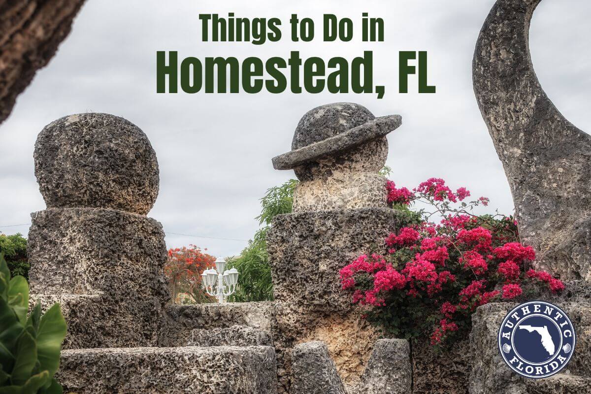 Homestead Florida Application
