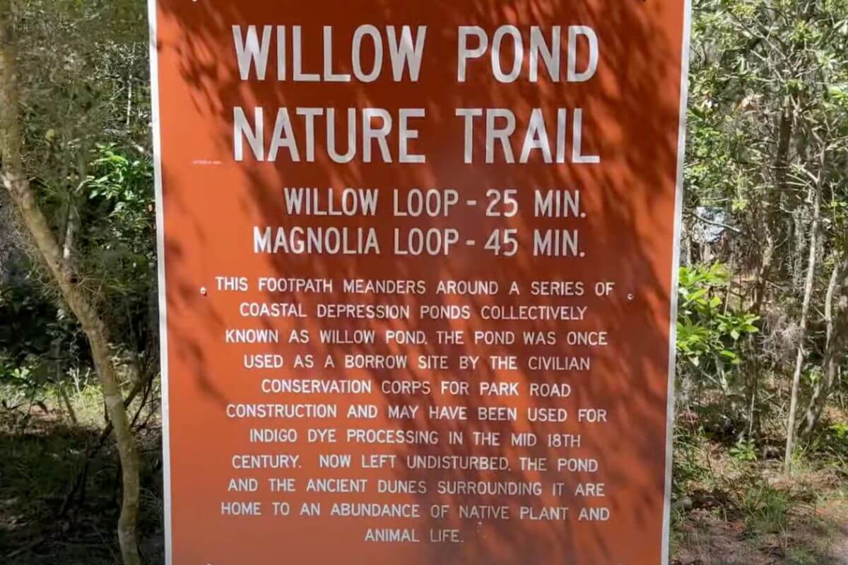 Willow Pond Nature Trail, in Fort Clinch State Park