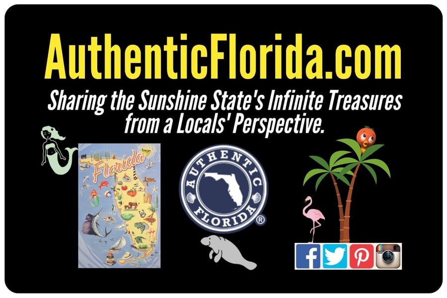 Authentic Florida Promo Card 2024