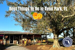 Best Things To Do in Avon Park Florida