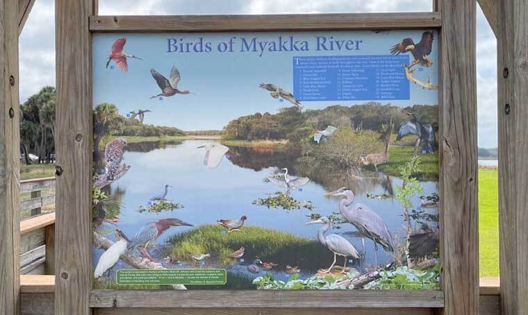 Birds of Myakka River Sign