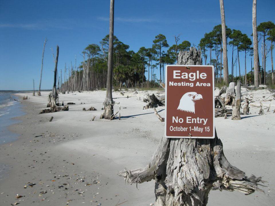 Eagle Nesting Sign 