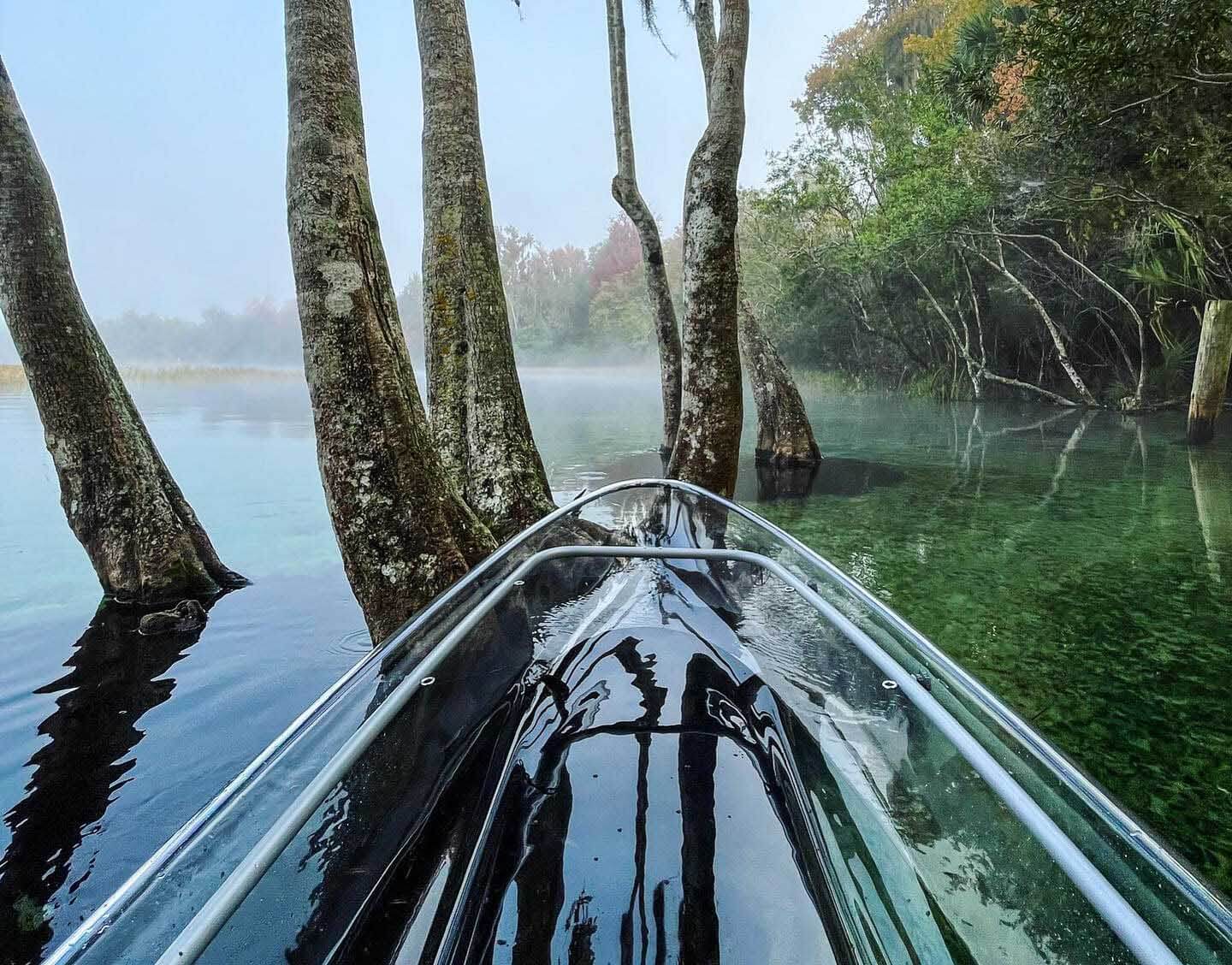 Clear kayak on the water among the trees. 