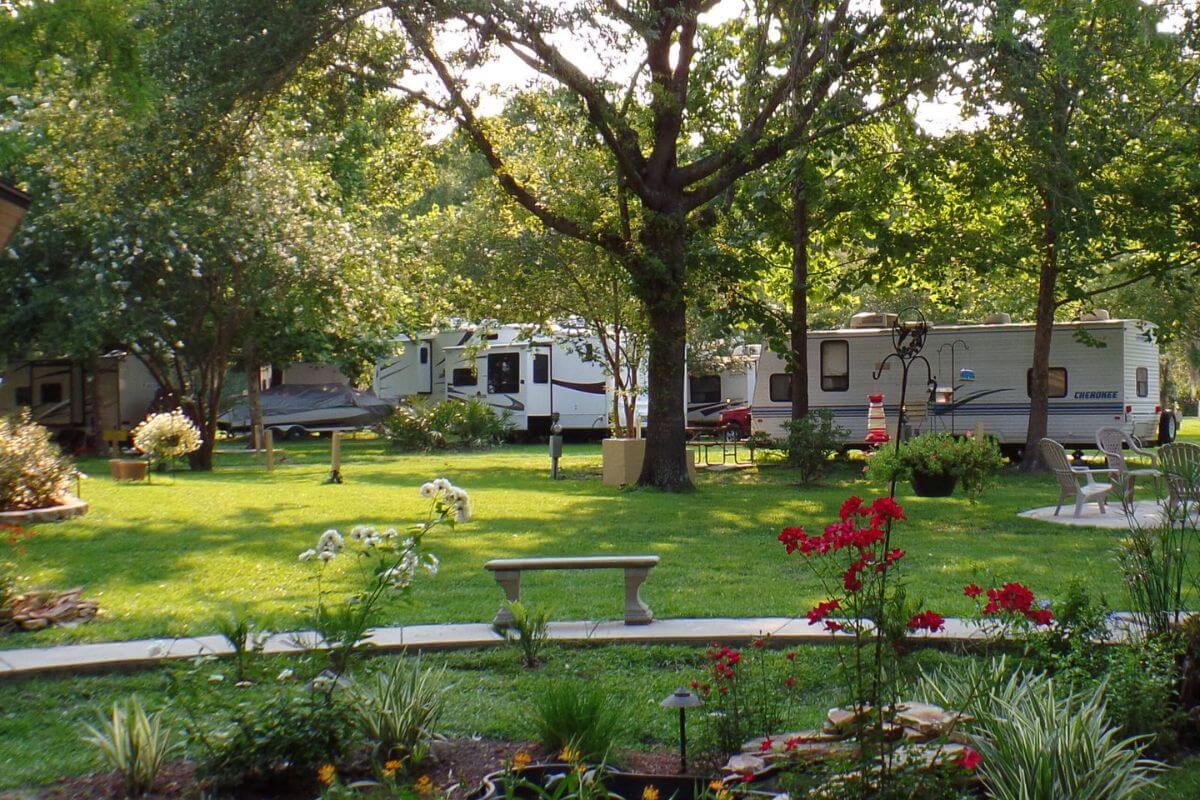 RVs parked by trees. 
