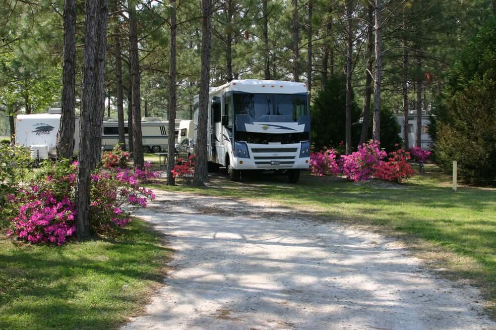 RV's in a Florida park with flowers along the path. 