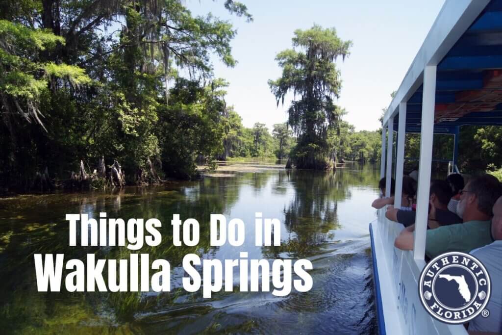 Things to Do in Wakulla Springs