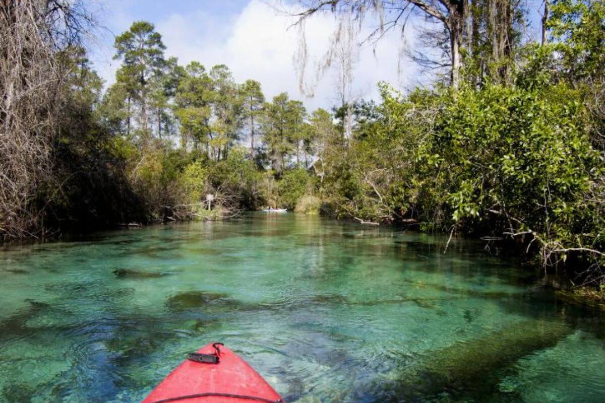 Kayak on water. 