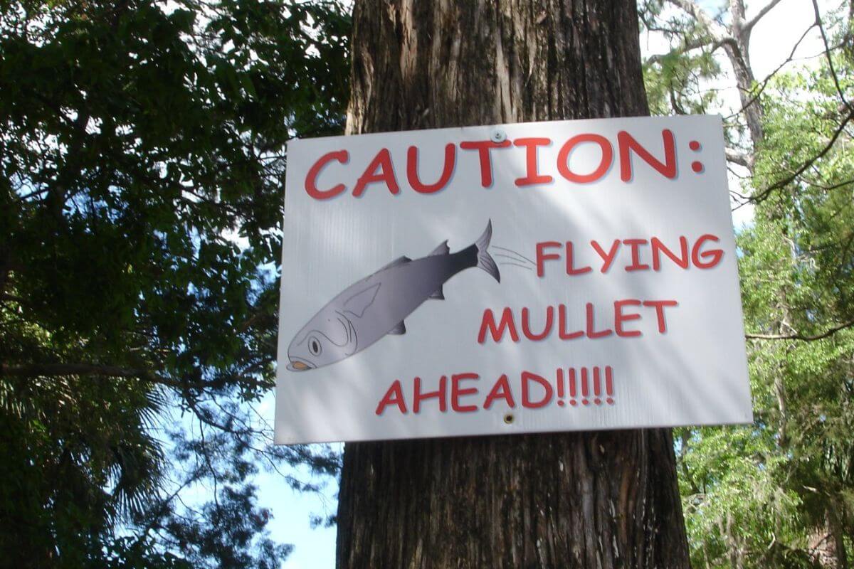 Homosassa Mullet Toss and Festival Flying Mullet sign