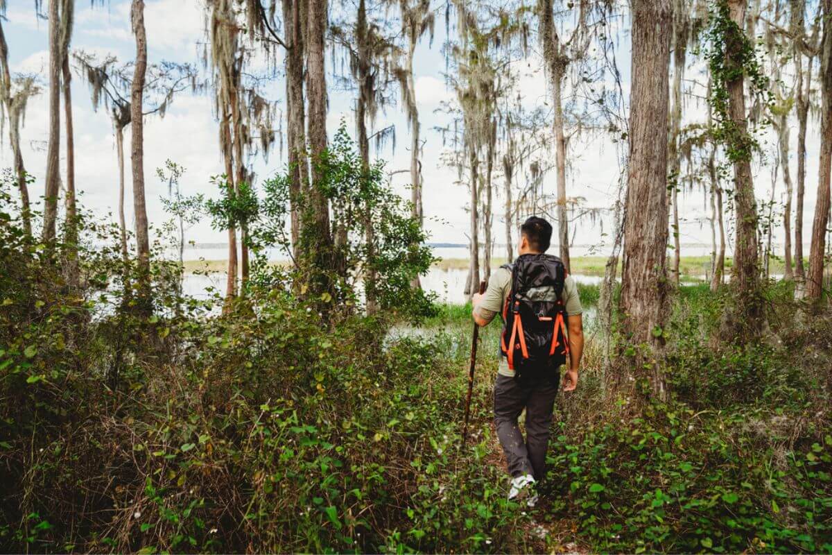 Man hiking on the waterfront in Florida. 
