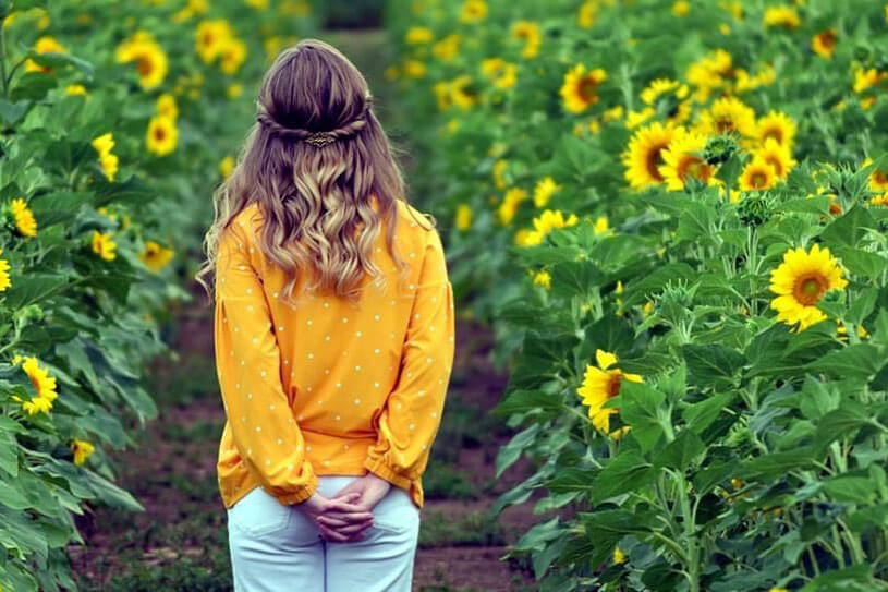 Person in sunflower field at Sweet Season Farms LLC