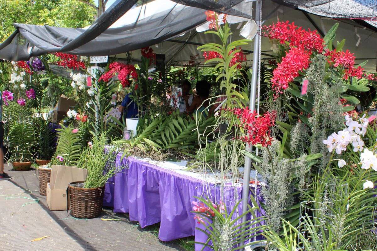 Redland International Orchid Festival booth