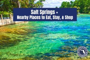 Salt Springs Nearby Places to Eat, Stay, & Shop Graphic