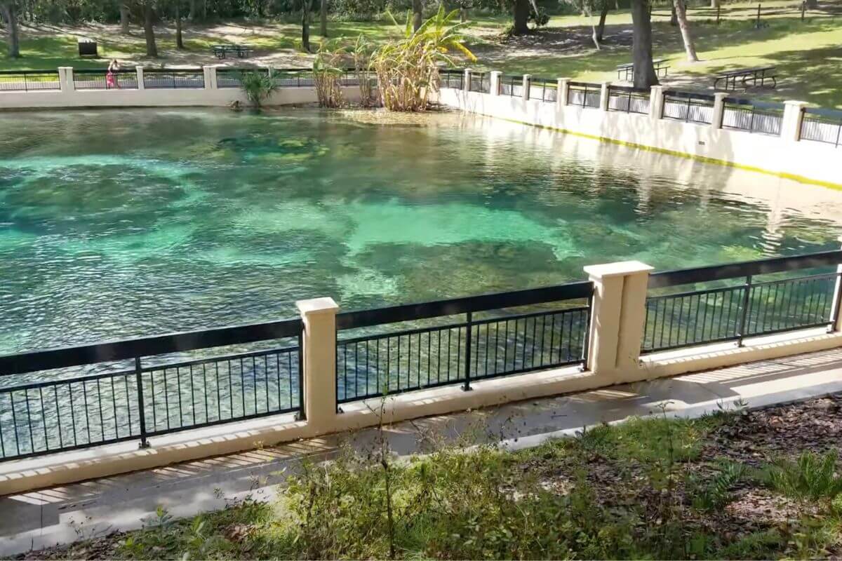 National Forests in Florida - Salt Springs Recreation Area