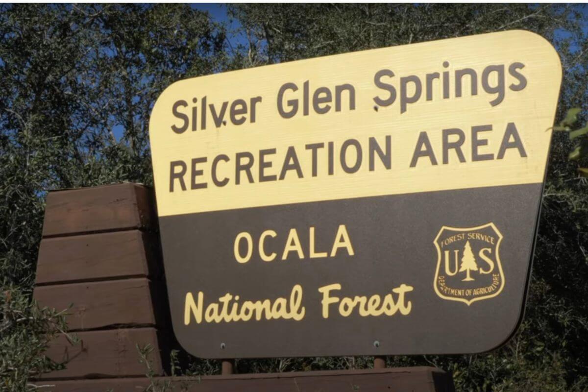 Silver Glen Springs Recreation Area sign.