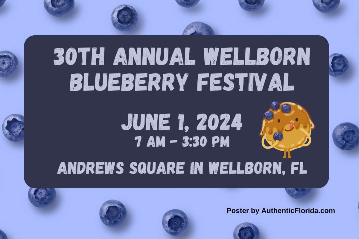30th Annual Wellborn Blueberry Festival 2024