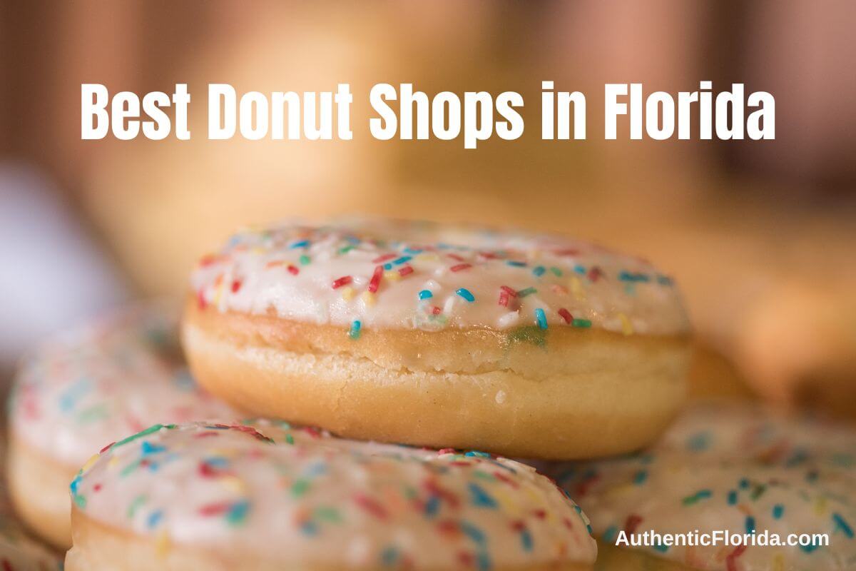Best Donut Shops in Florida