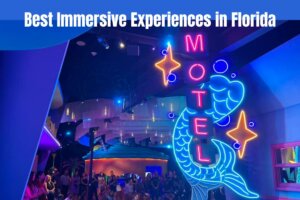Best Immersive Experiences in Florida from St. Pete Fairgrounds