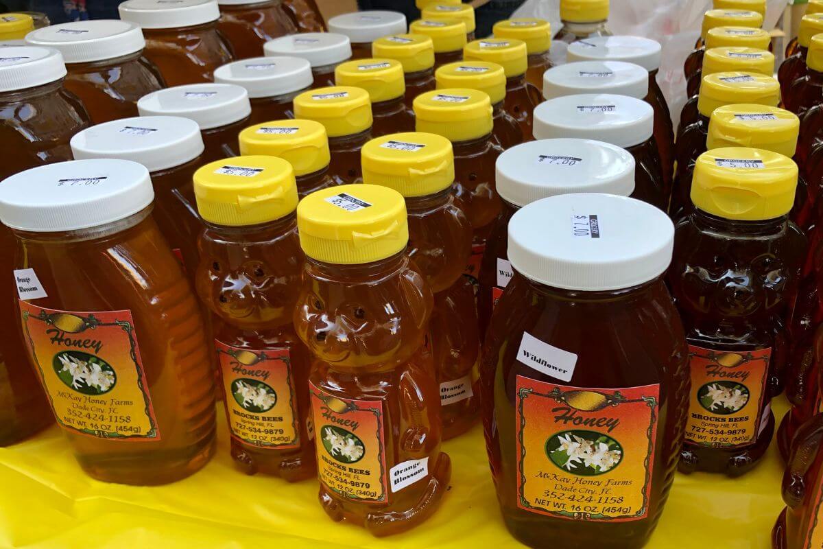 Different types of Florida Honey