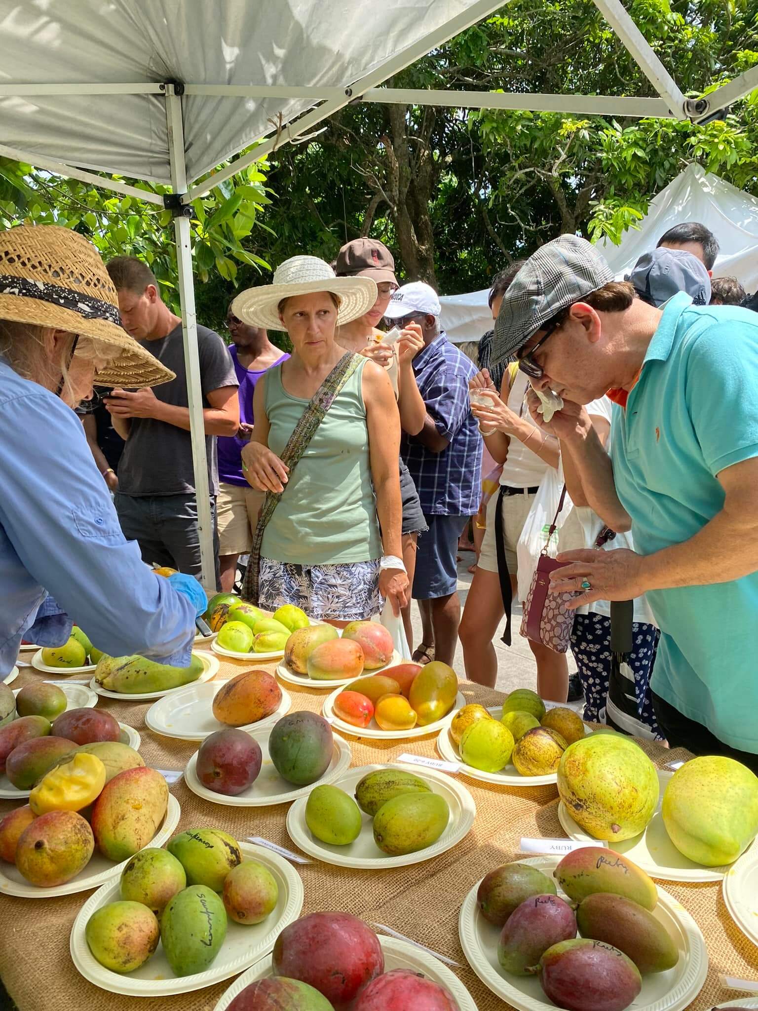 Summer Fruit Festival at Fruit and Spice Park photo from 2022