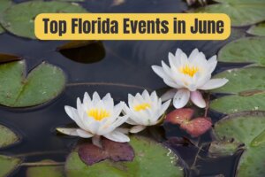 Top Florida Events in June 2024 featured image