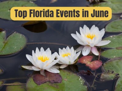 12+ Top Florida Events in June 2024
