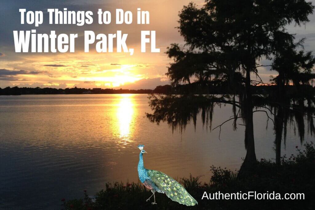 Top Things to Do in Winter Park Florida