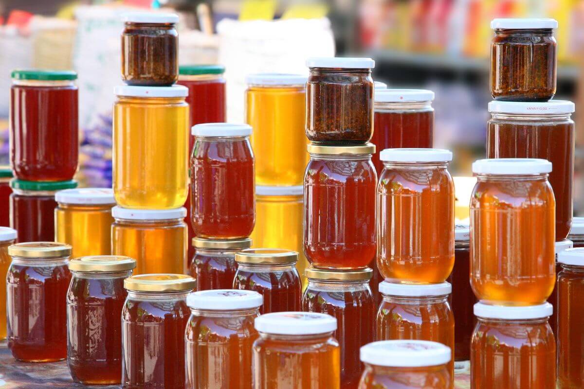 Various types of Florida honey