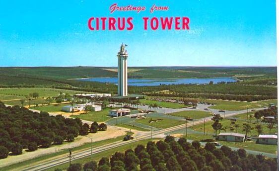 Vintage postcard greeting from Citrus Tower