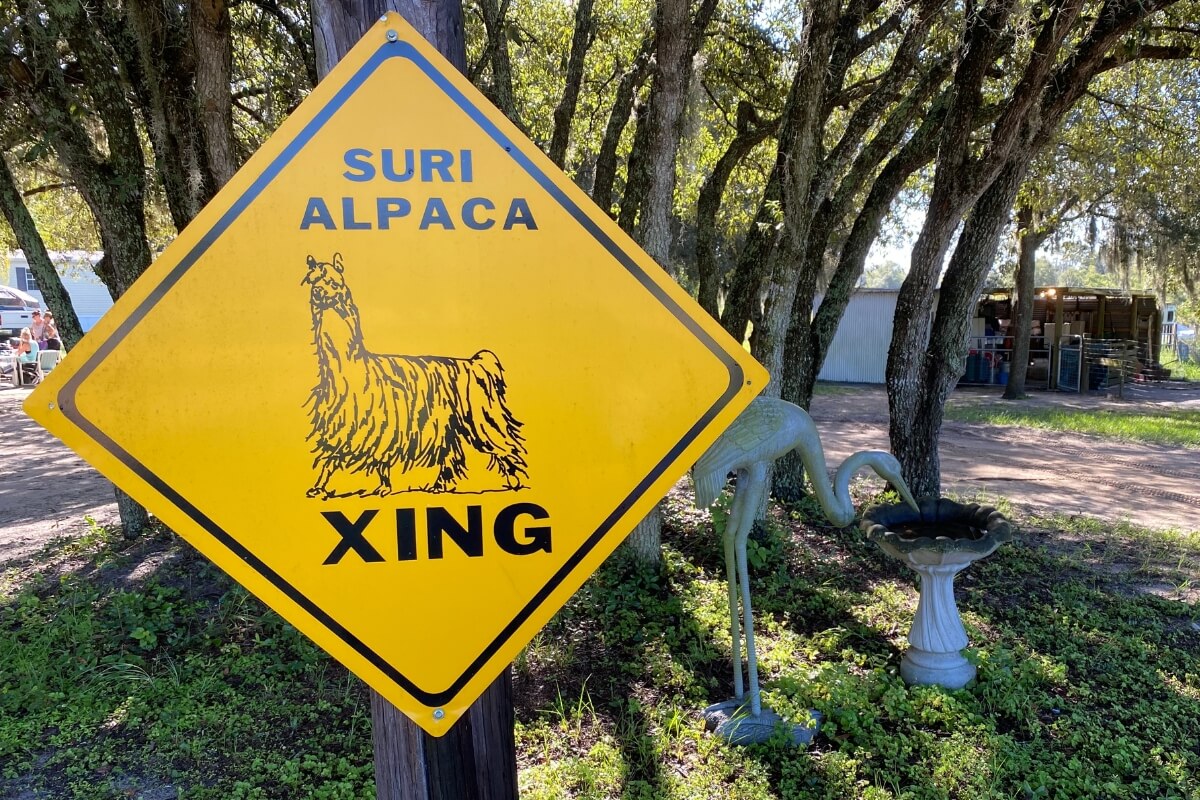 Alpaca Crossing sign at LunaSea