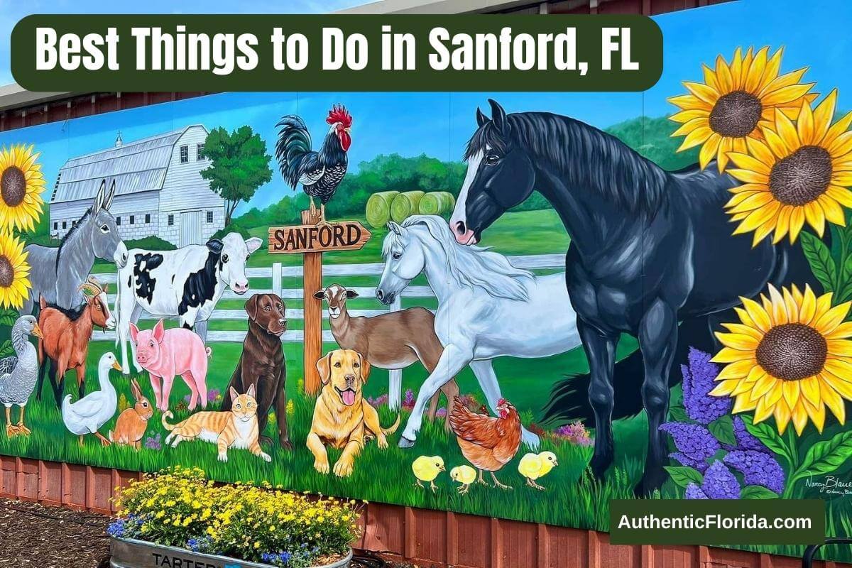 Best Things To Do In Sanford, FL.