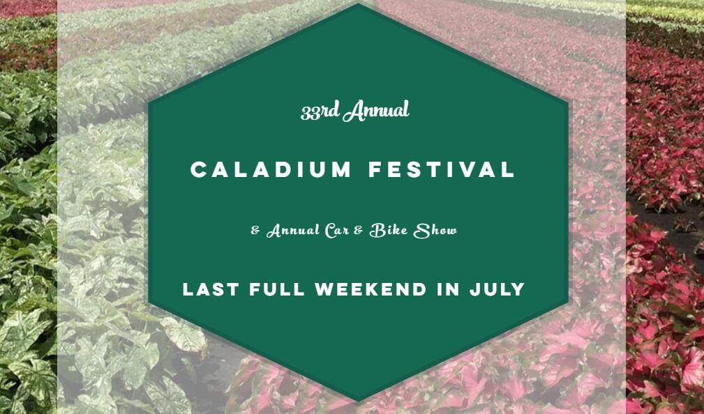 Caladium Festival Promotional Flyer