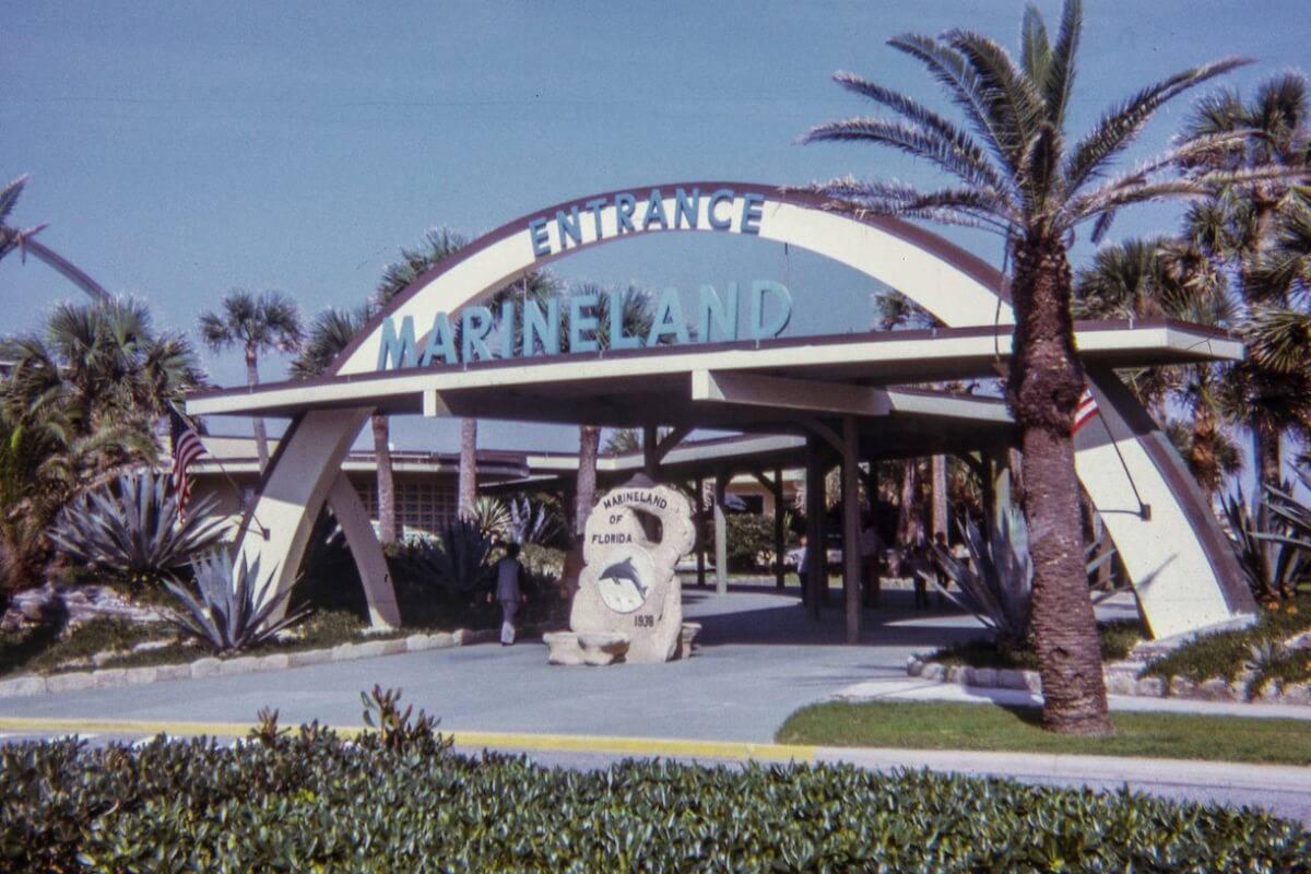 Entance to Marineland 1960s from Florida Roadside Attractions History