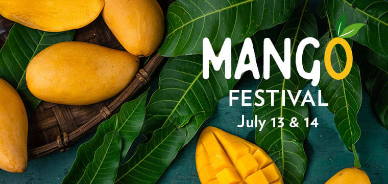 Mango Festival Promotional Flyer