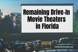 Remaining Drive-In Movie Theaters in Florida