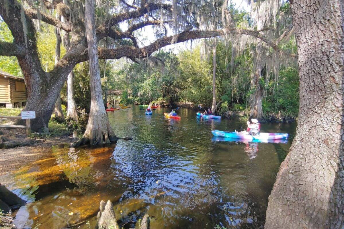 People in kayaks on the water. 