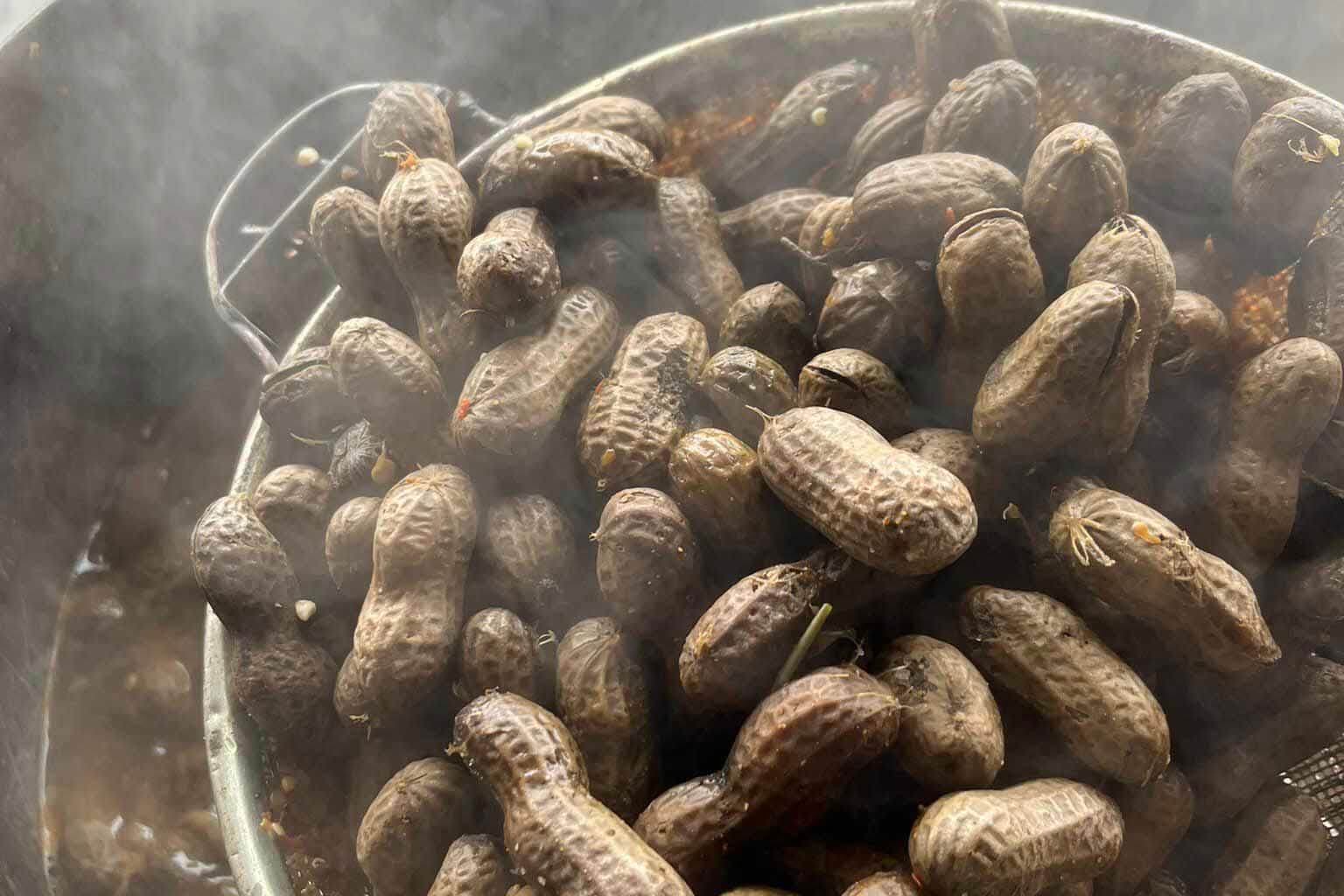 Boiled peanuts at Waldron Produce Farms