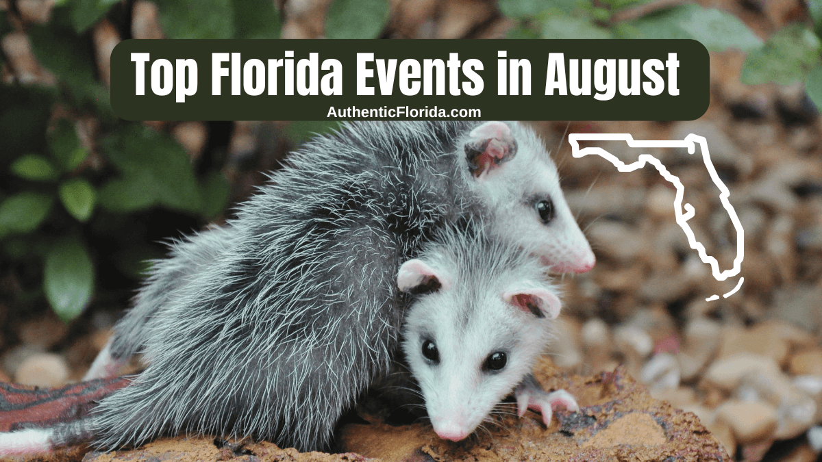 Top Florida Events in August