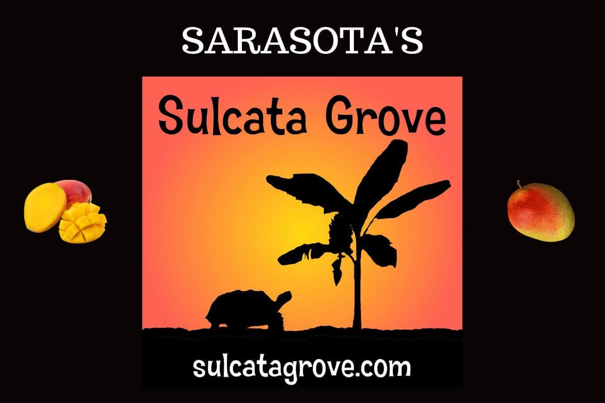 Sulcata Grove in Sarasota logo and website