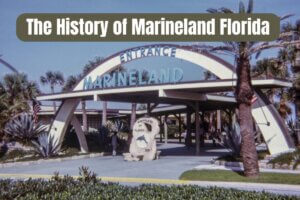 The History of Marineland Florida for social