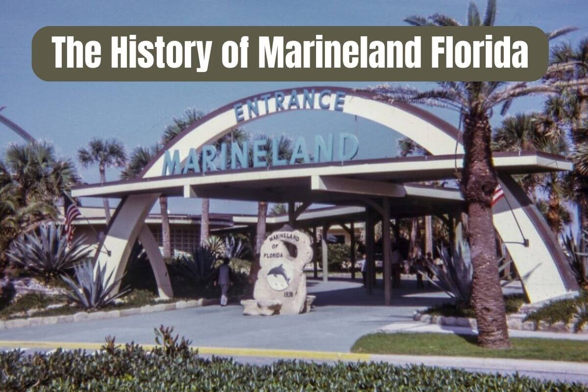 The History of Marineland Florida for social