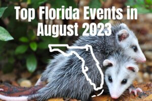 Top Florida Events in August 2023